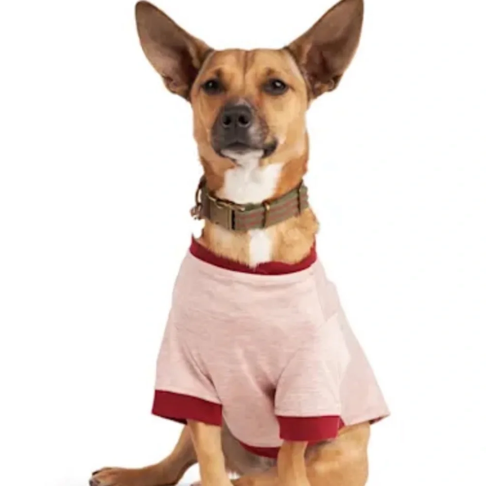 Bundle new Reddy Hoodie & Lightening dog Tee S